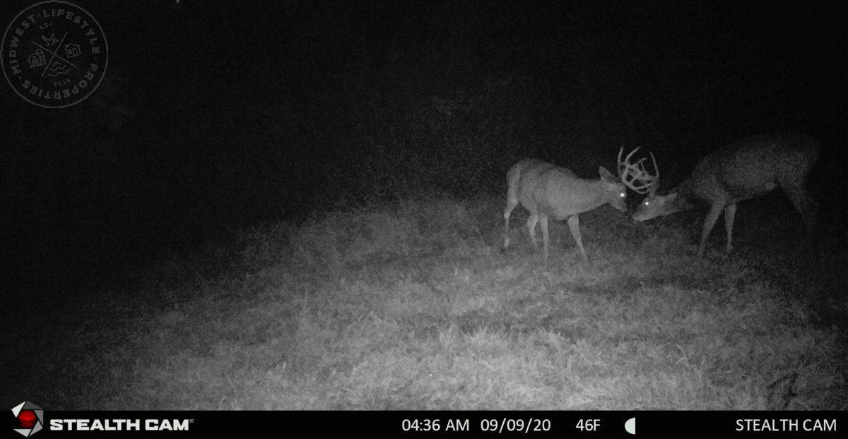 Brandon Wikman UC Hunting Properties