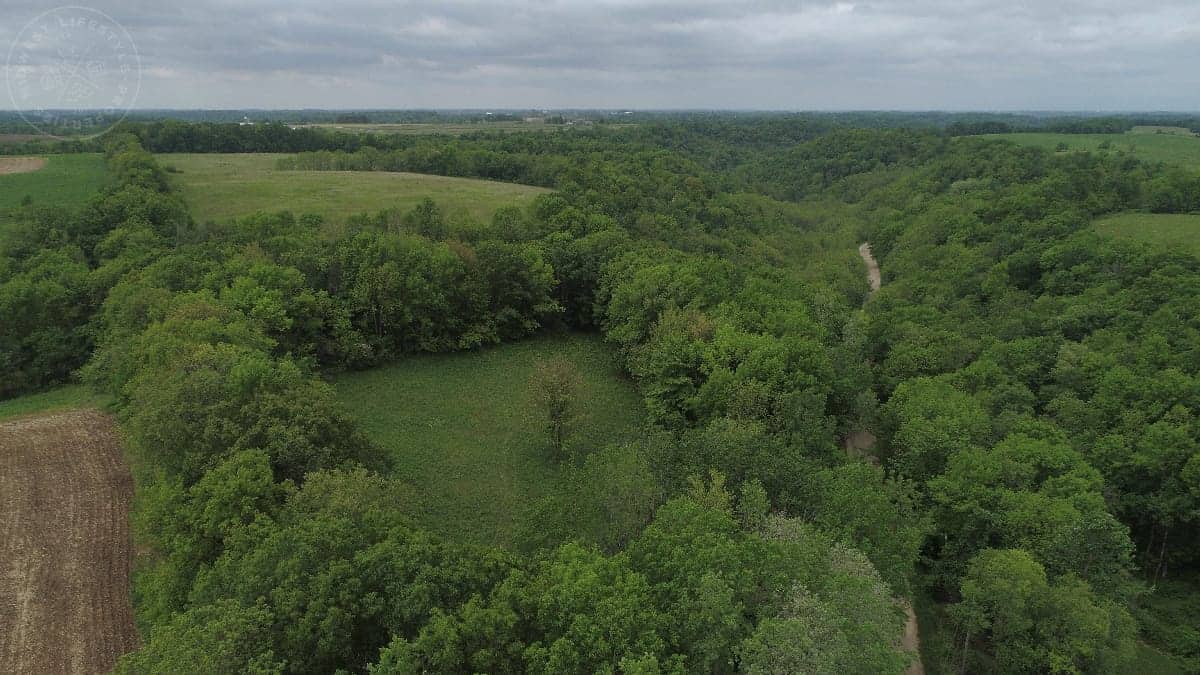 Sauk Hunting Land UC Hunting Properties