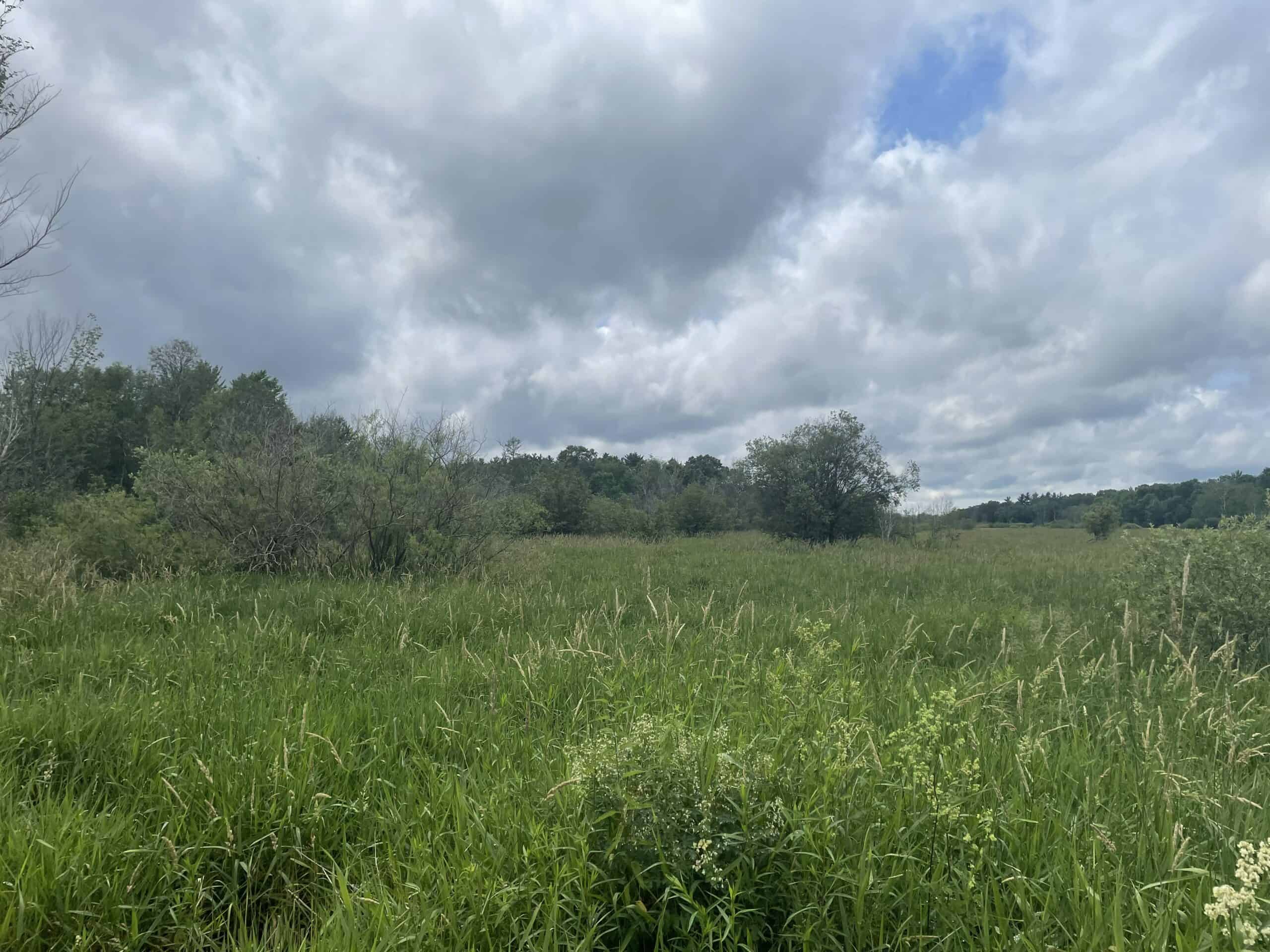 Adams Hunting Land UC Hunting Properties