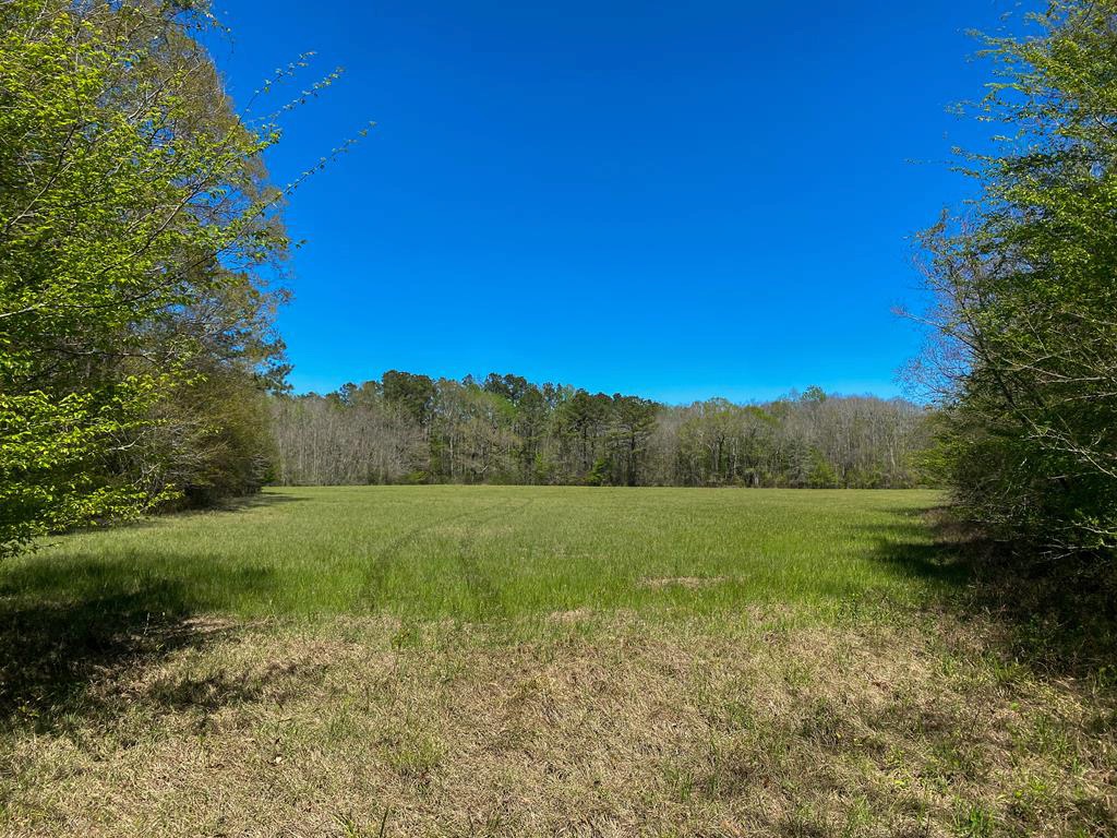 Hunting Land For Sale in Mississippi Hunting Properties for sale in