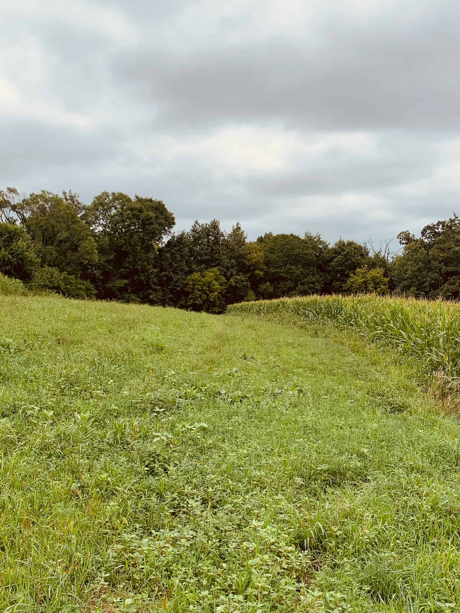 Vernon Hunting Land UC Hunting Properties