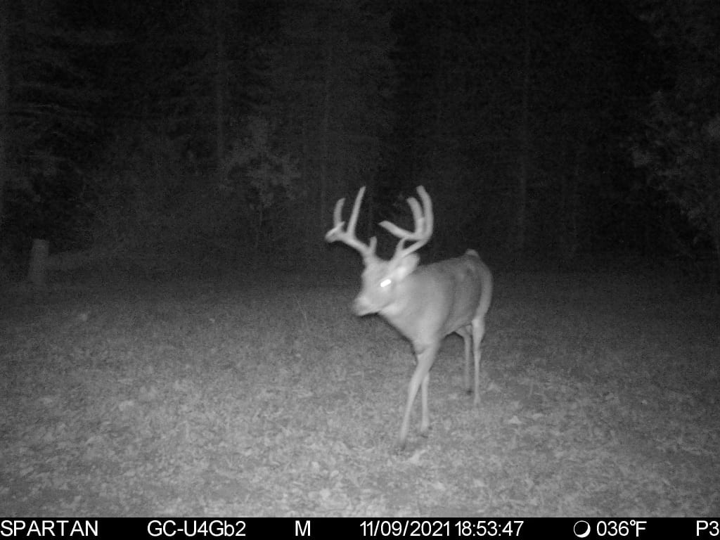 Land For Sale in Wisconsin Hunting Land For Sale in Wisconsin