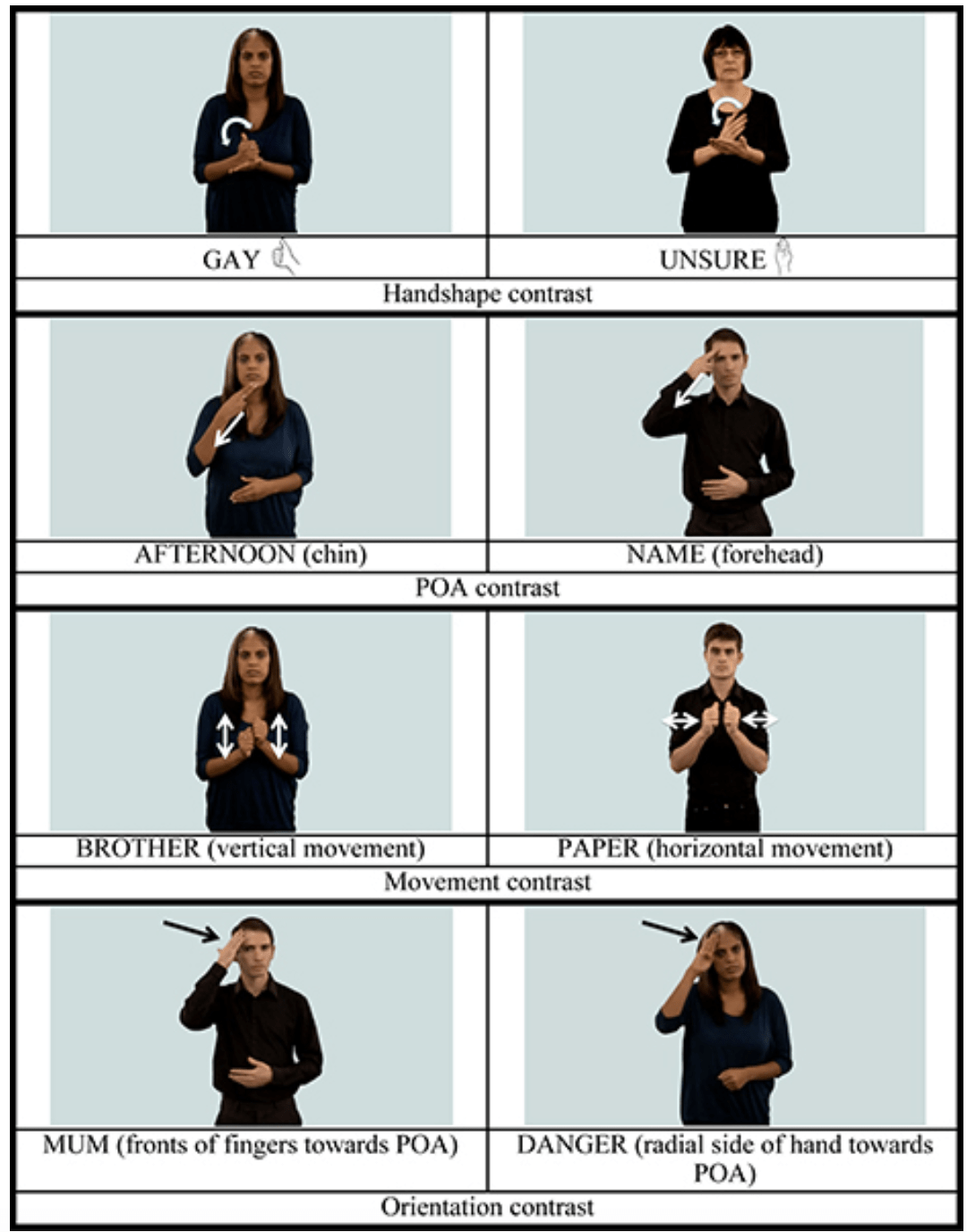 (Brentari & Cormier 2018)