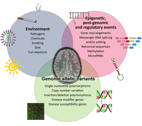 Major Study of Multiple Sclerosis Reveals DNA Hot Spots of