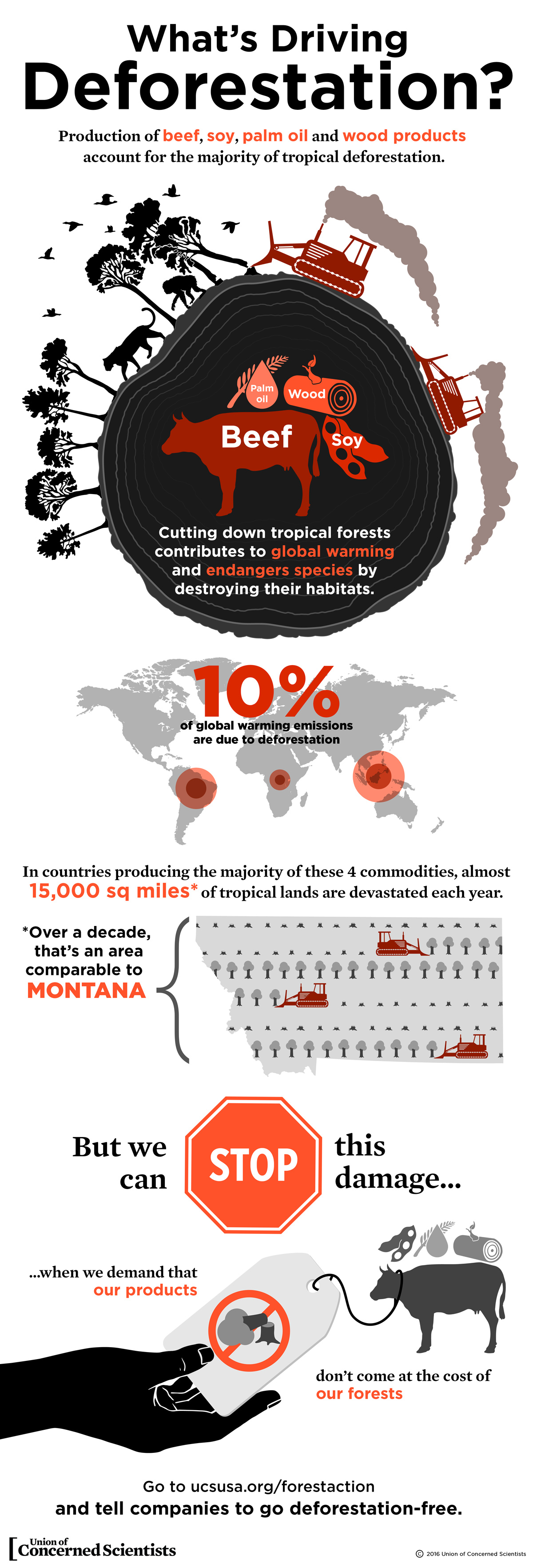 Infographic What's Driving Deforestation? Union of Concerned Scientists