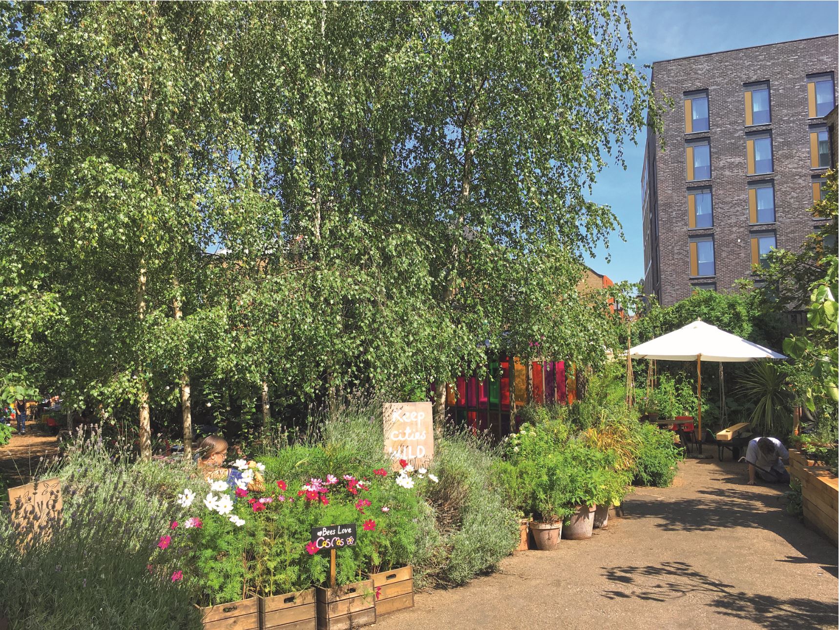 Dalston Eastern Curve Garden, Hackney, London Behind the Image