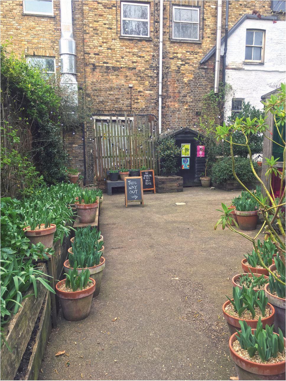 Dalston Eastern Curve Garden, Hackney, London Behind the Image