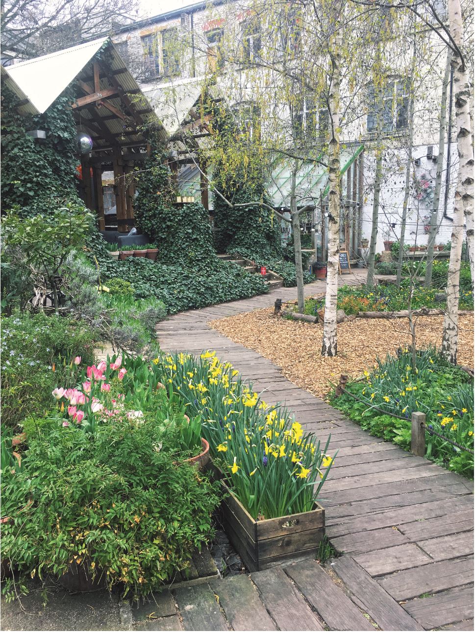 Dalston Eastern Curve Garden, Hackney, London Behind the Image