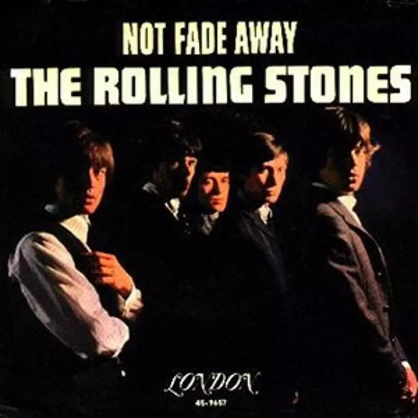 Not Fade Away The Rolling Stones’ Homage To Buddy Holly uDiscover