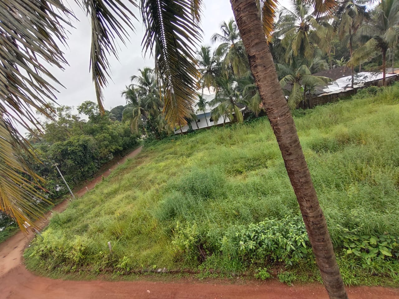 60 Cents Land for Sale at Tallur Kundapura. Udupi Property