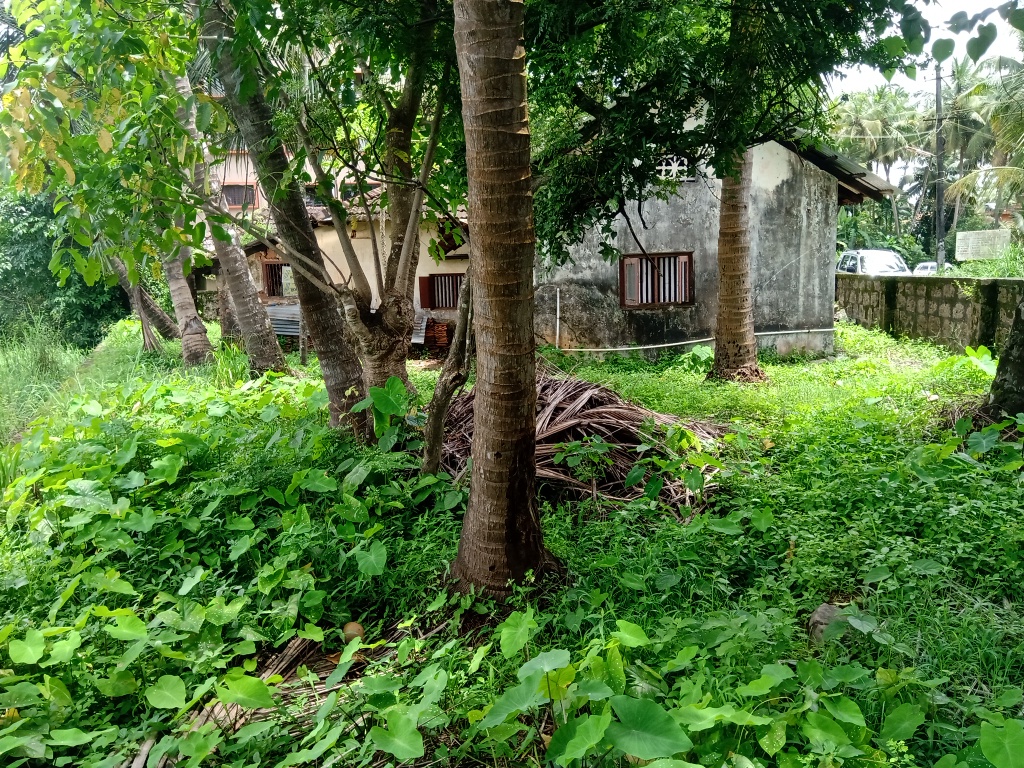 7 Cents Land for Sale at Kinnimulky Udupi Property