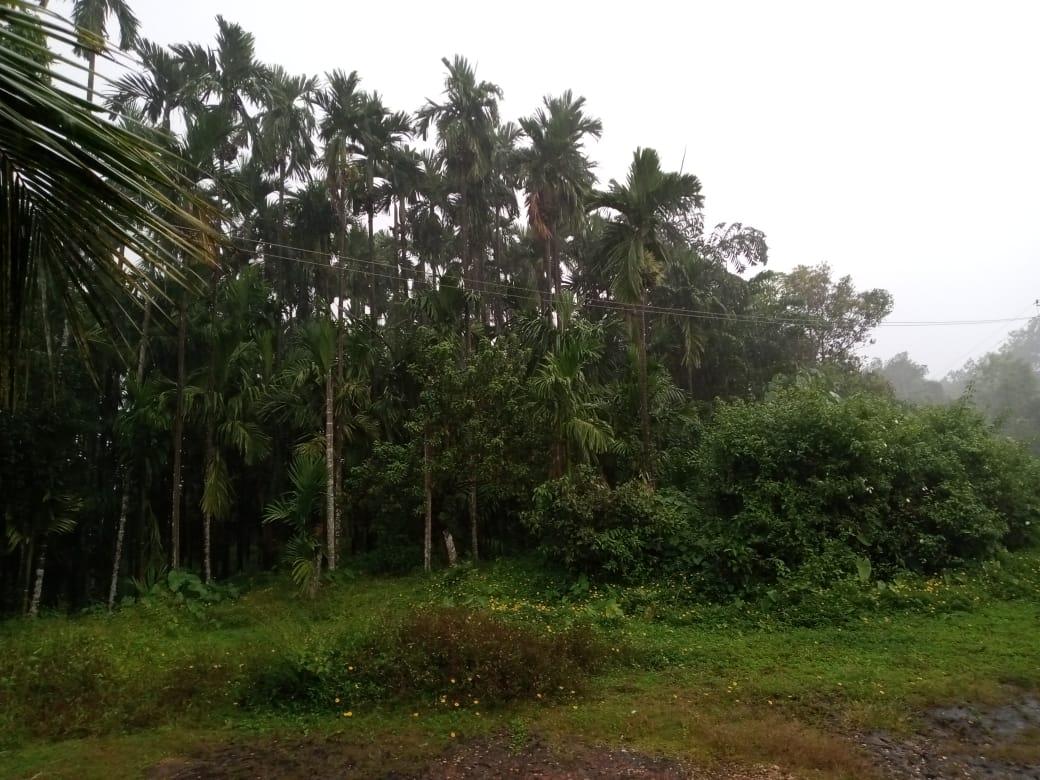 3.86 Acre Agriculture land for Sale at Hiriyadka Udupi Property