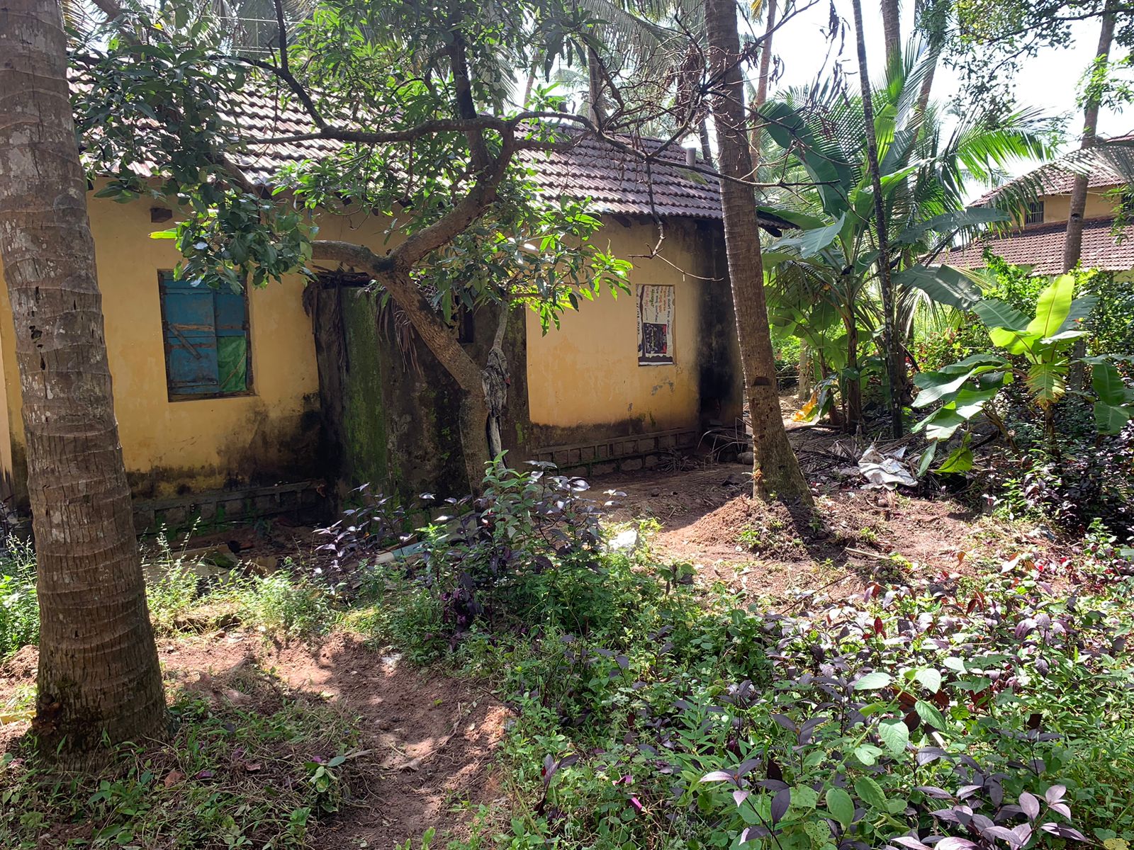 55 Cents Agriculture Land for Sale at Kodi Kundapura. Udupi Property
