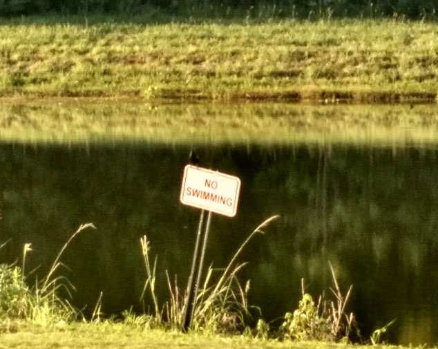 Why Do We Ignore Warning Signs? Urban Family Chiropractic Life Center(03)
