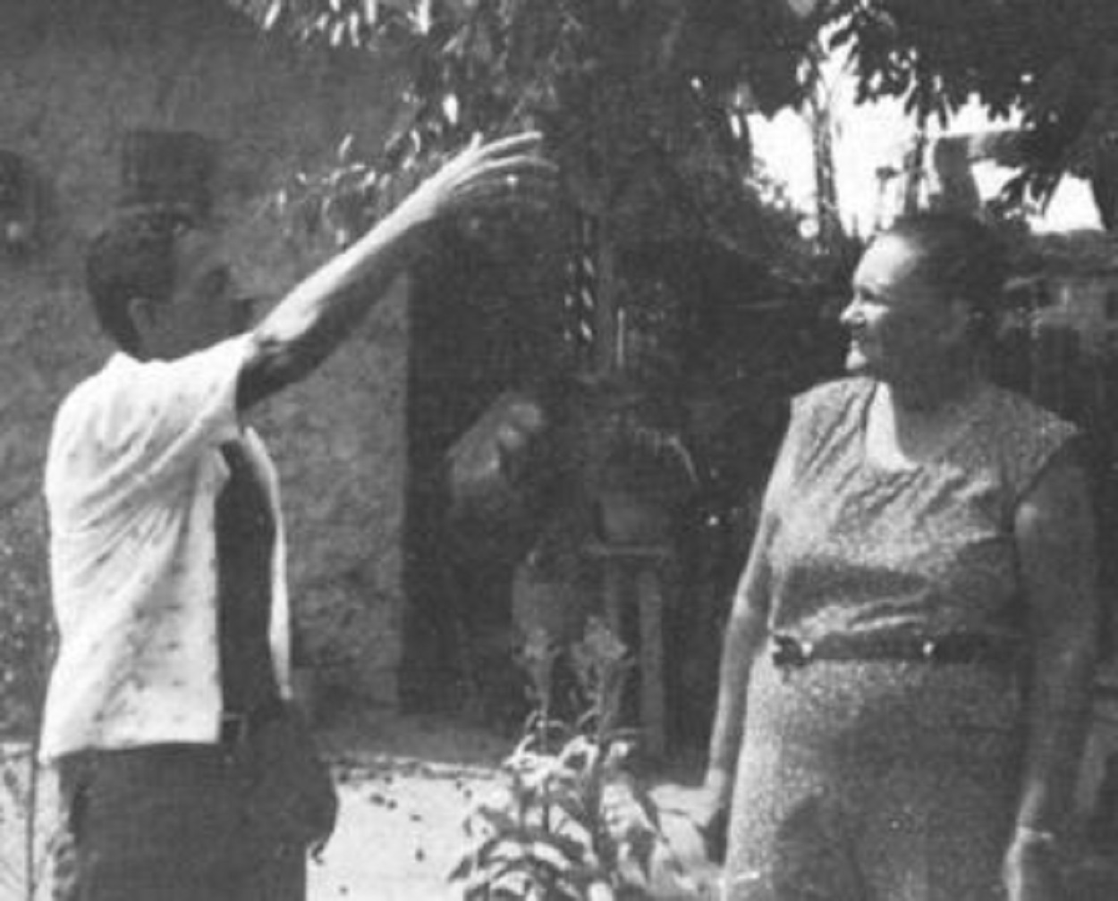 The Luli Oswald UFO Encounter Strange Lights And “RatFaced” Aliens