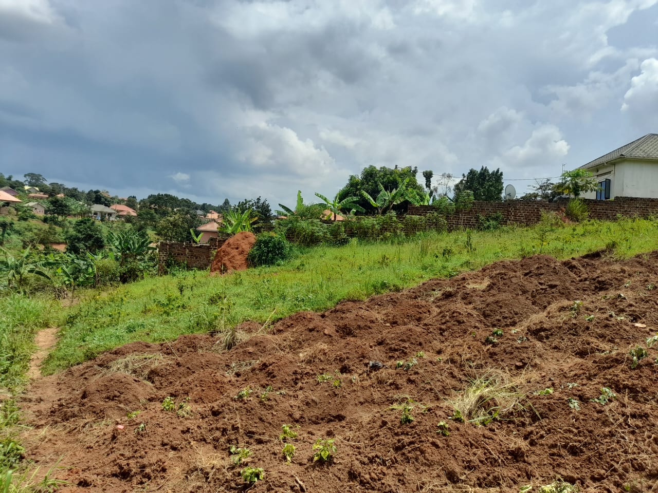 50x100ft Plot Of Land For Sale In Seeta Bajjo Jomayi Estate At 35m Uganda Property Agents