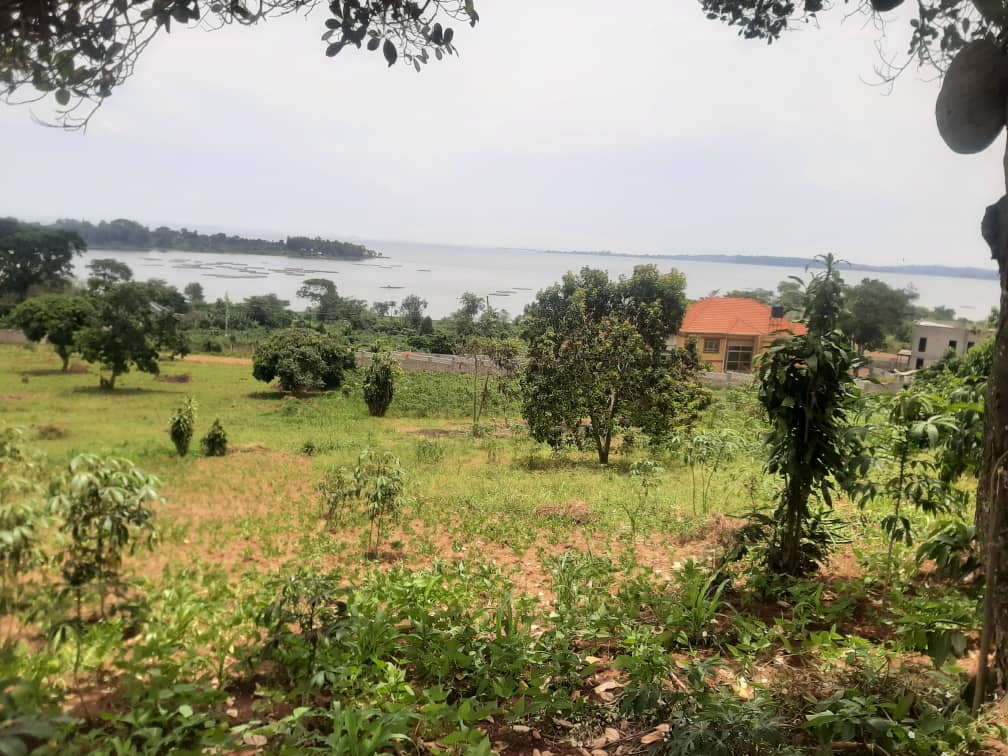 25 Decimals Lake View Plot Of Land For Sale In Bugiri Entebbe At 160m