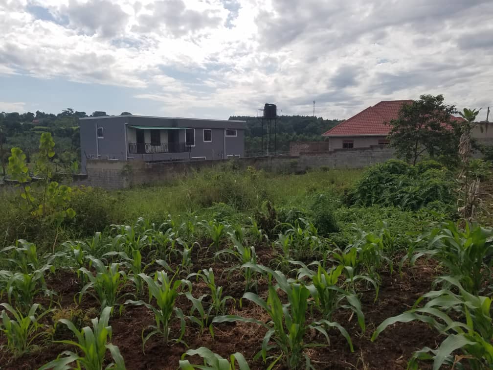 Kiti along Matugga Kasangati Road (50ft by 100ft) Plot for sale at 35m