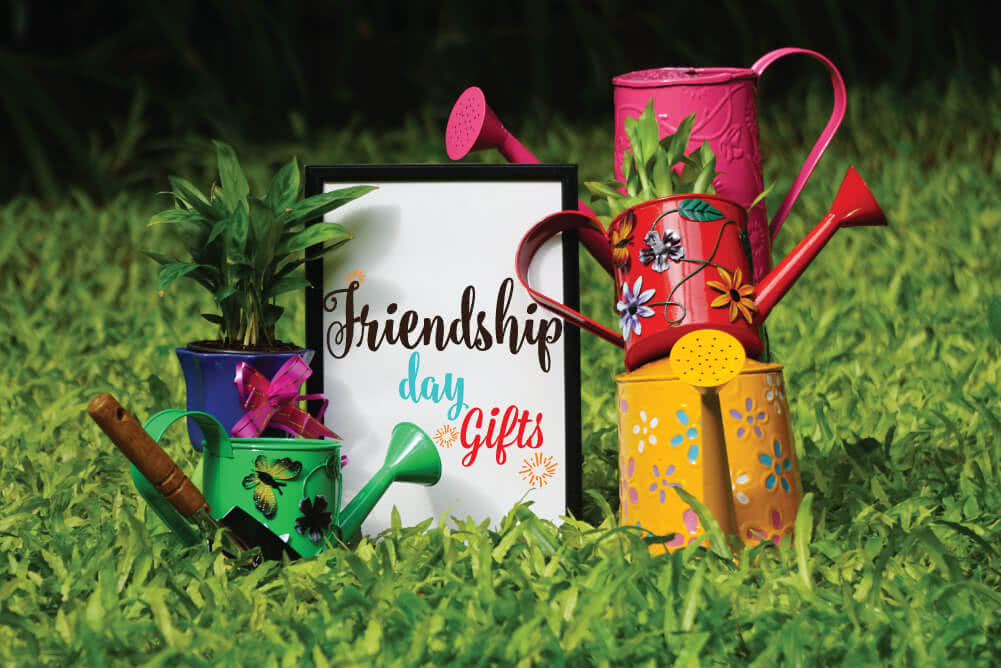 Gift Ideas for Friends Which Plant Resembles Your Friend?