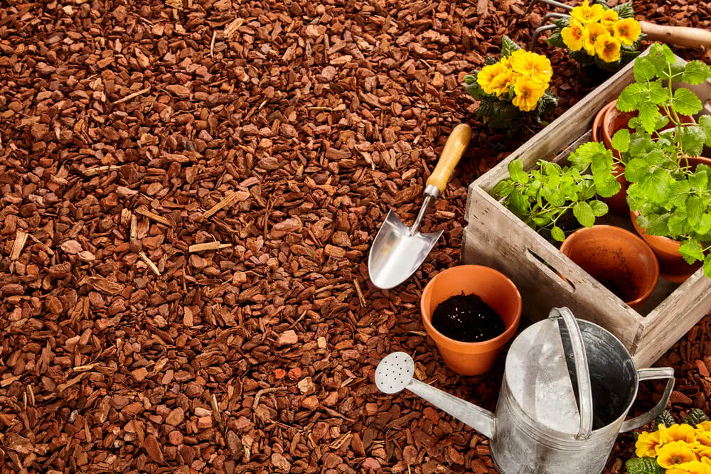 Understanding Mulching The protector of soil Ugaoo