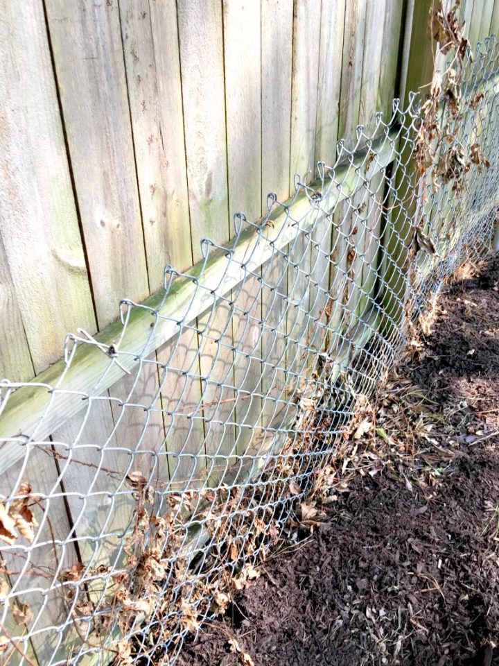Removing the Chain Link Fence! (And Trying to Be a Good Neighbor
