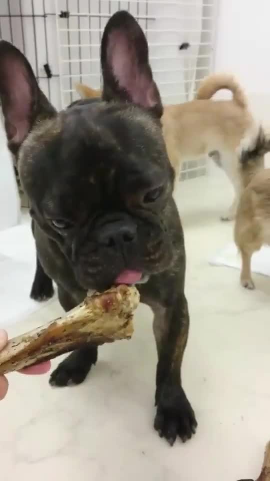 UGペット 純国産 無添加犬用おやつ 鹿骨 半割 2本 通販
