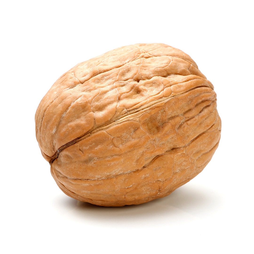 Walnut Presentation Strategy™ Uhmms