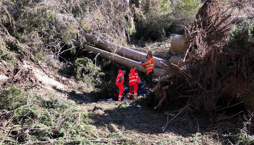 Comunicato Stampa Uil Trentino 7/12/19. Continua Lo Stillicidio Di Infortuni Sul Lavoro Nei Boschi: La Uil Rilancia La Proposta Di Mobilitare Anche Il Corpo Forestale Provinciale Nella Vigilanza E Prevenzione Degli Infortuni 480_x_840_jpg