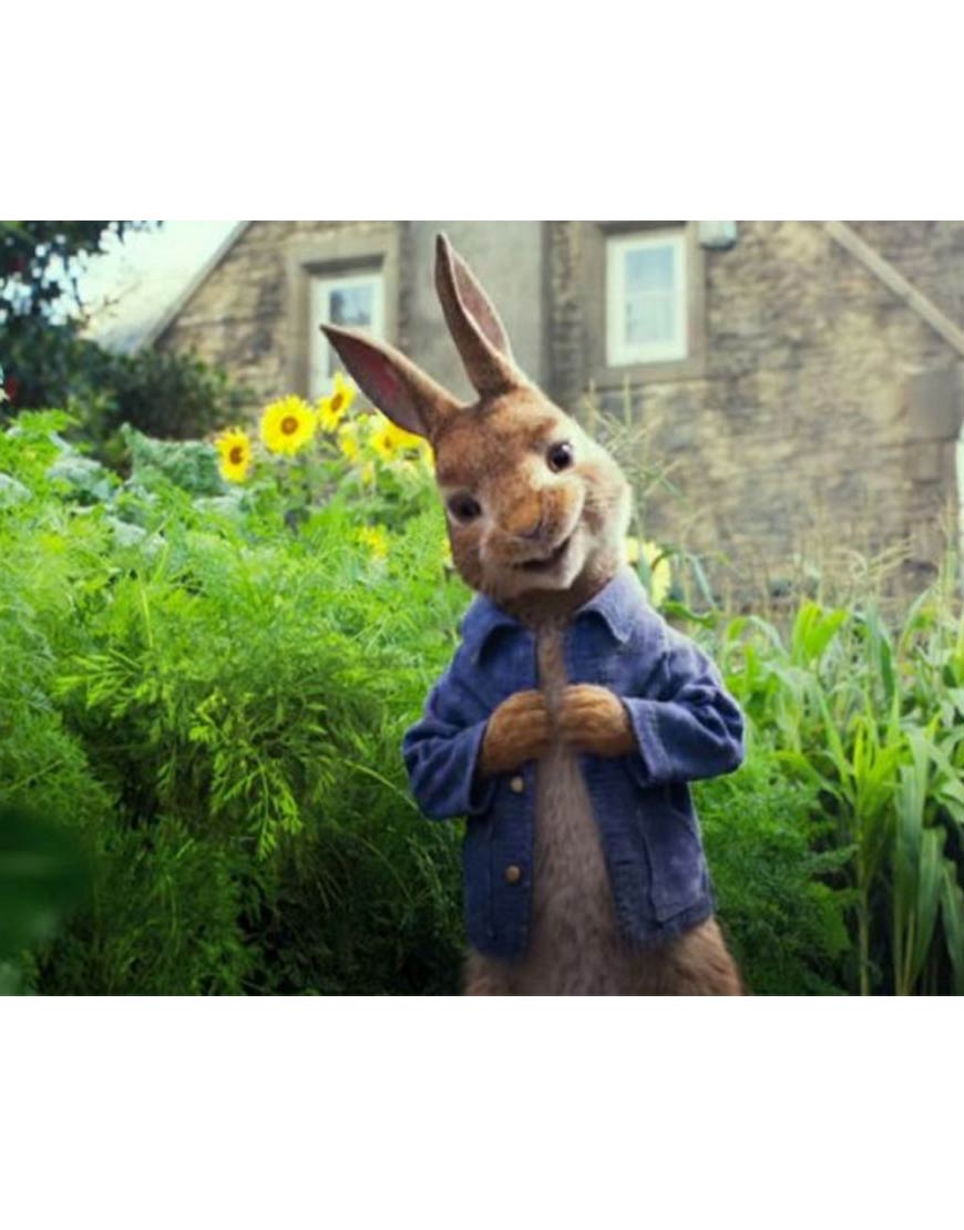 Peter Rabbit Jacket James Corden Blue Denim Jacket