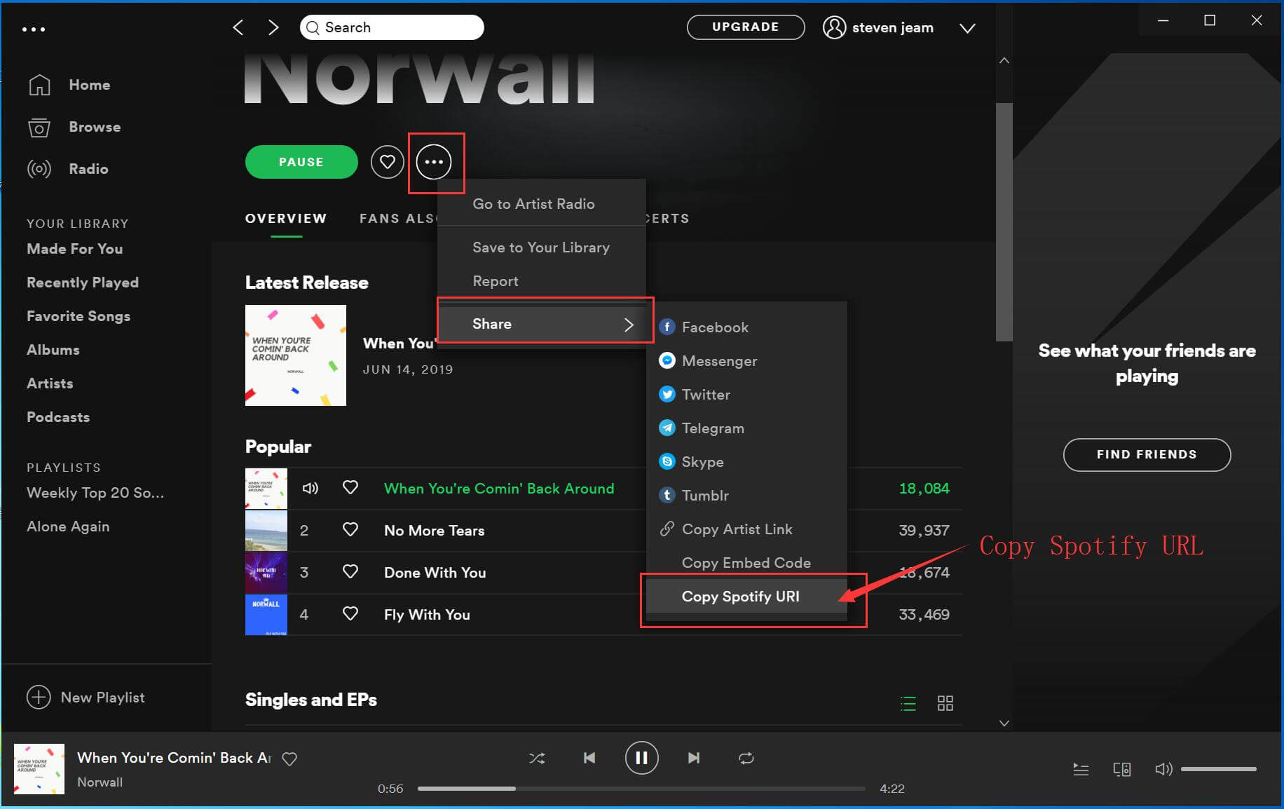 Norwall "When You're Comin' Back Around" MP3 Download