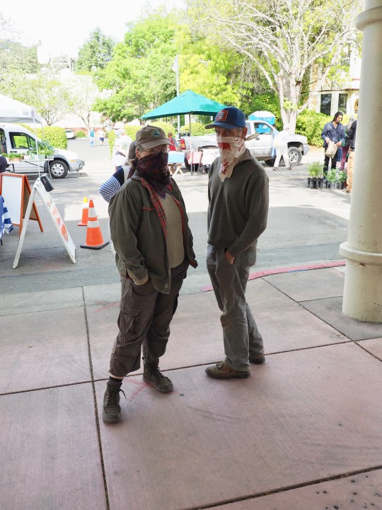 Ukiah Farmers Market sales up during pandemic The Ukiah Daily Journal