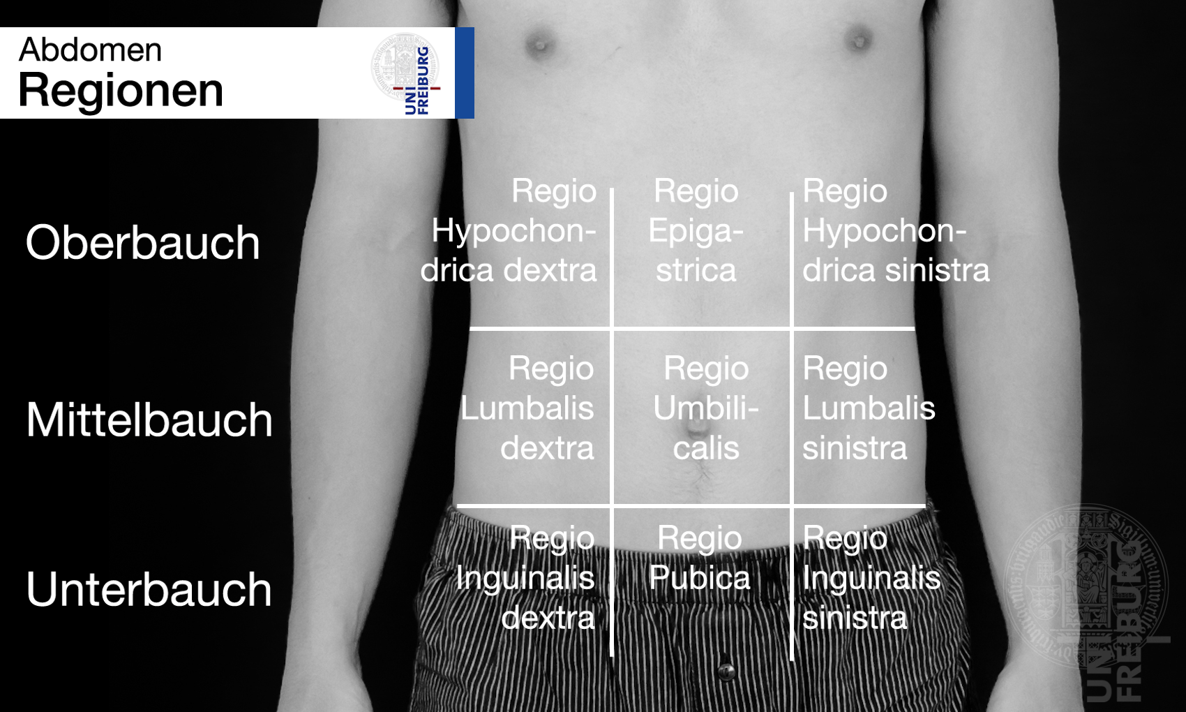 MODUL 5. Untersuchung des Abdomens UKurs