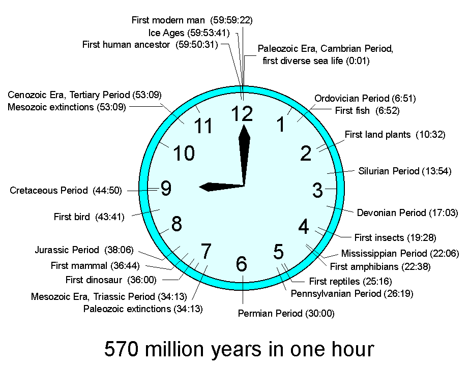 Time Clocks, Educational Resources for K16
