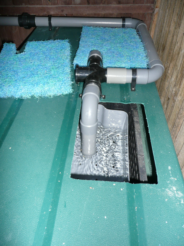 "Koi Pond", "Garden Design", "Koi DIY Filter", "DIY Bakki Shower", "DIY