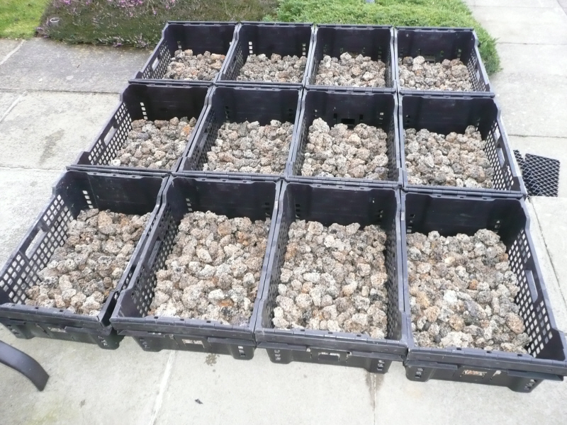 "Koi Pond", "Garden Design", "Koi DIY Filter", "DIY Bakki Shower", "DIY