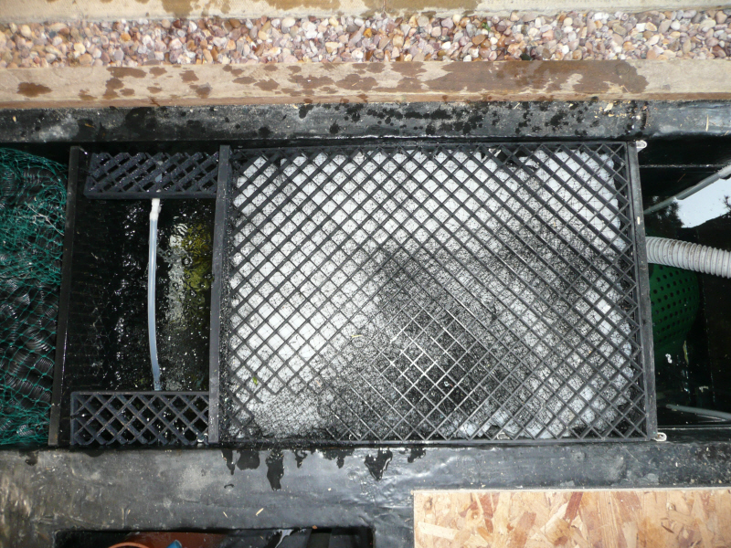 "Koi Pond", "Garden Design", "Koi DIY Filter", "DIY Bakki Shower", "DIY