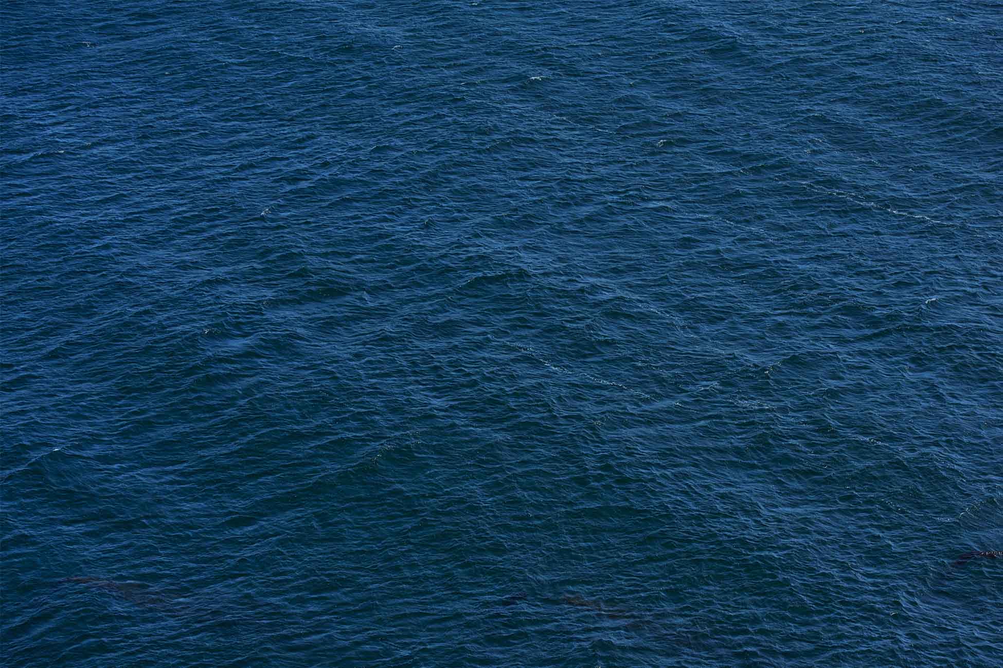 The Ultimate Bunk Board Replacement Solution