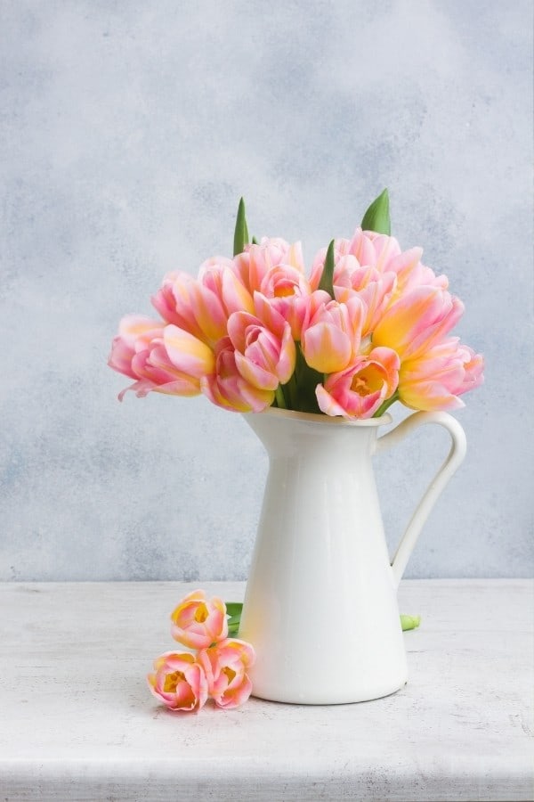 Ultimate Flower Quiz Questions and Answers (2023 Quiz)