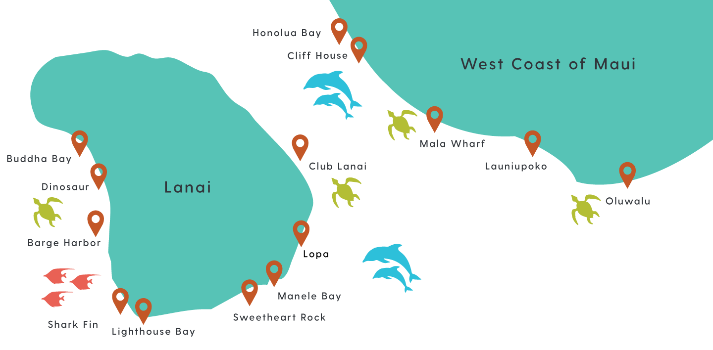 Best Snorkeling In Maui Map Maui's most exciting Lanai snorkeling tours Book Now