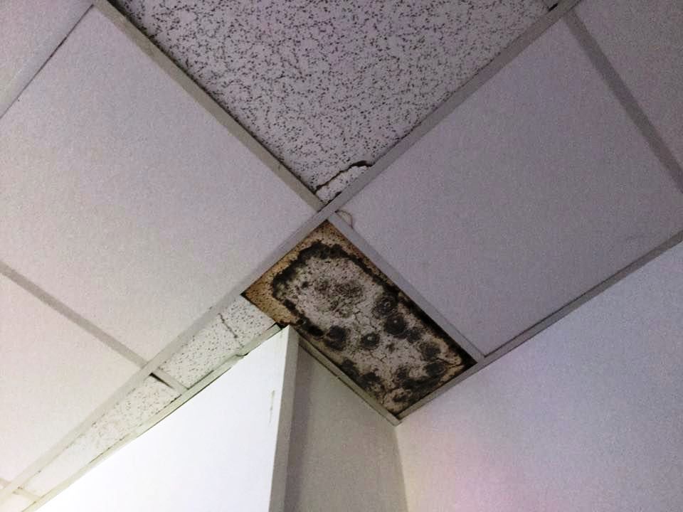 image_1