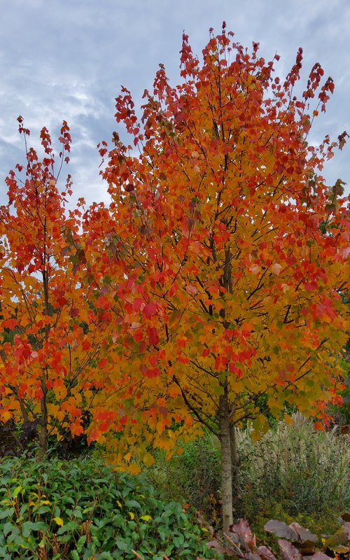 Loisirs Visite, balade Visite du jardin La clé du temps à la Toussaint
