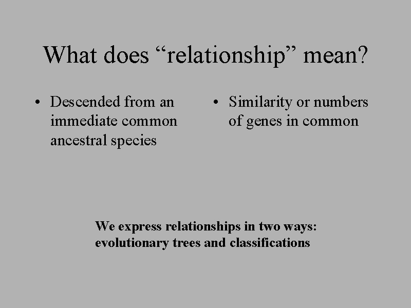 What does “relationship” mean? What does “relationship” mean?