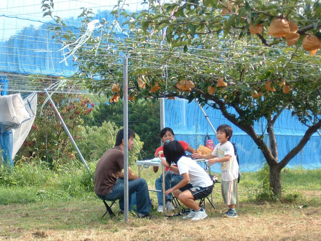 京丹後でフルーツ狩り＆丹後の郷土料理ばらずしコース 京丹後市モデルコース 海の京都観光圏