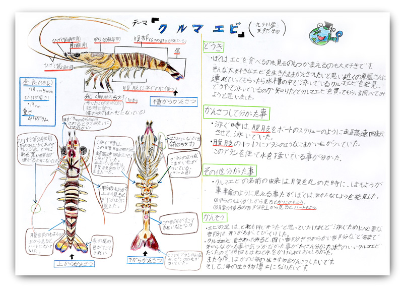 200以上 魚の 自由 研究 137366魚の自由研究 小学生 wallsengsaekiyo