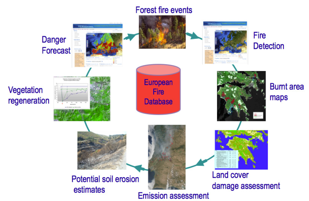 Data application of the month Forest Fires UNSPIDER Knowledge Portal