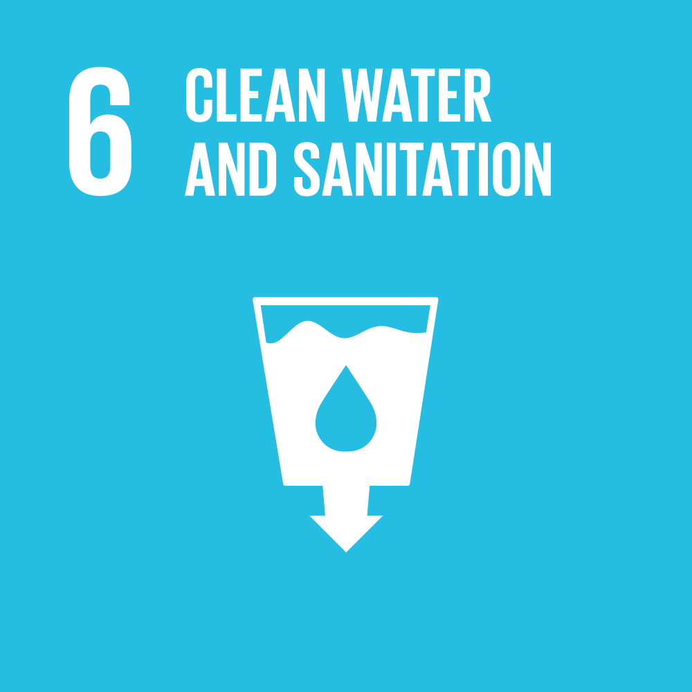 Goal 6—Rising to the Challenge Enabling Access to Clean and Safe Water