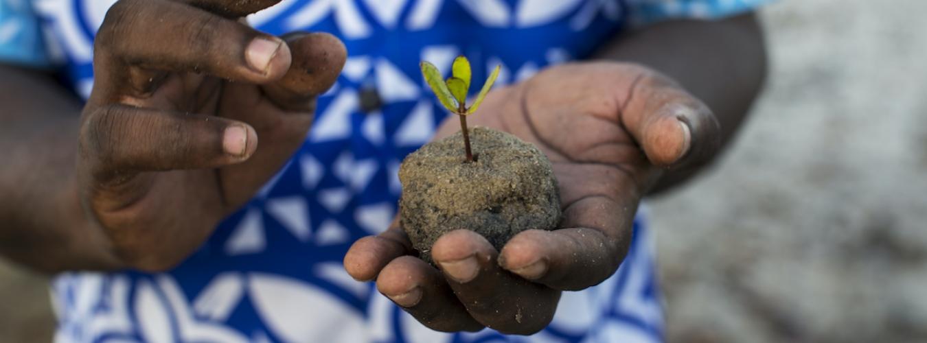 Trees for life an inspiration to live more sustainably United Nations