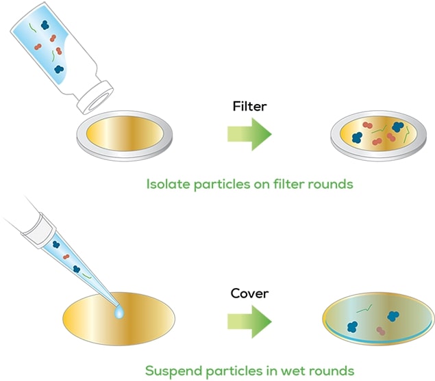 Microscopy Particle Size Analysis Unchained Labs