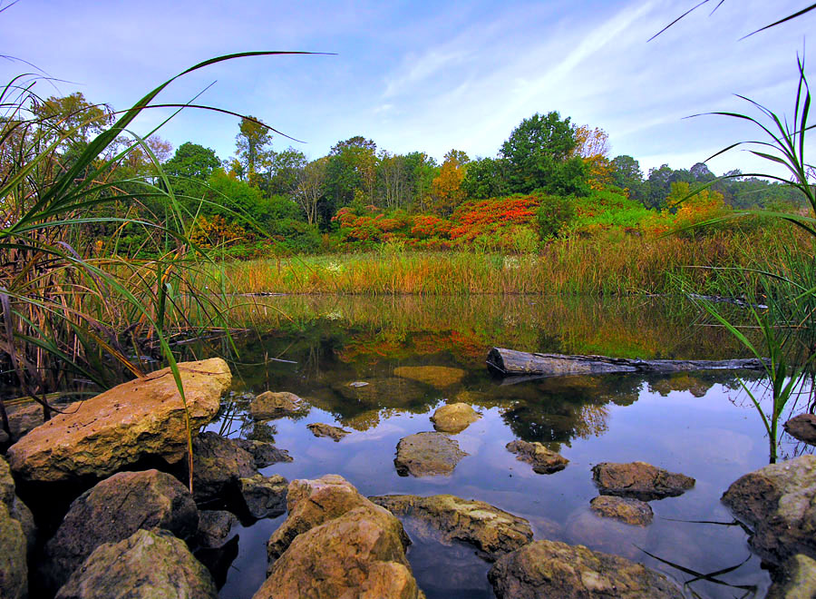 Owen Conservation Park Madison, WI