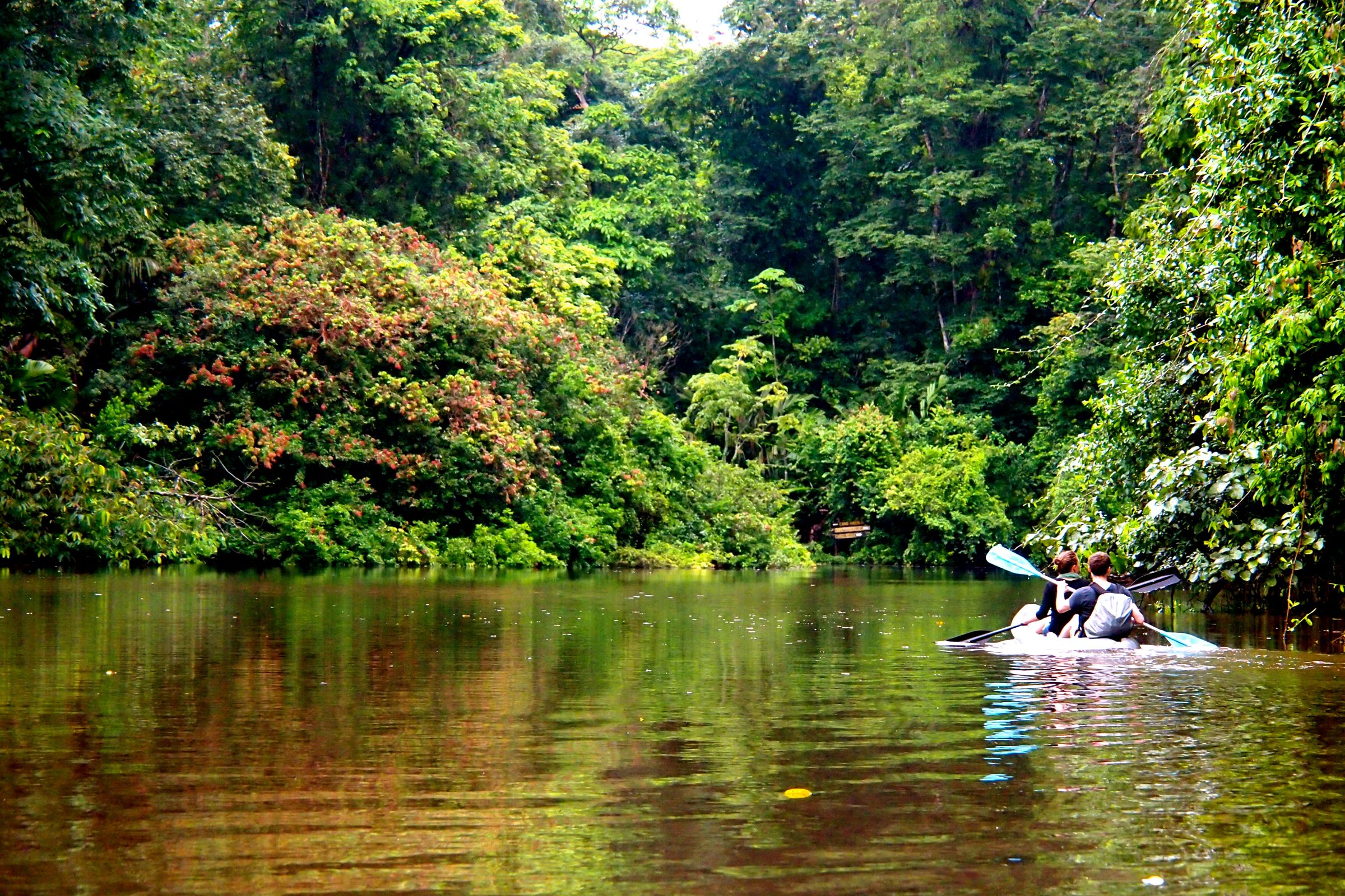 Kayaking Tortuguero Nat'l Park, Costa Rica